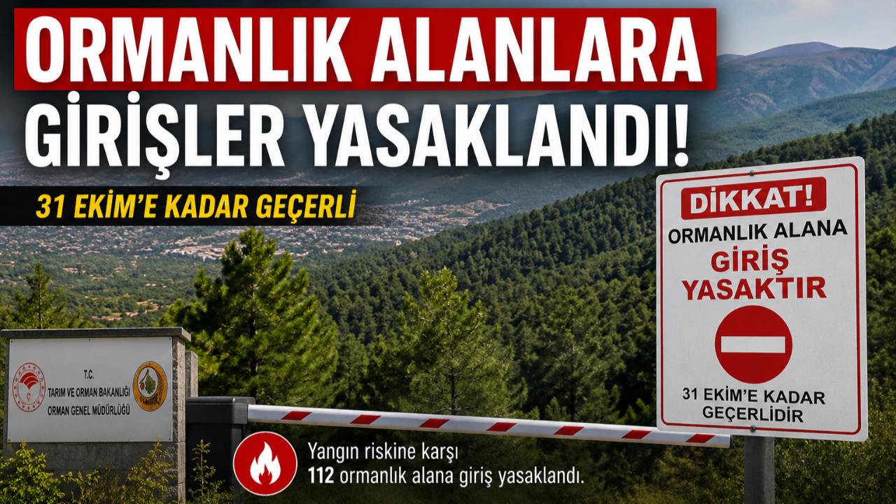 Manisa'da ormanlık alanlara girişler 31 Ekim'e kadar yasaklandı