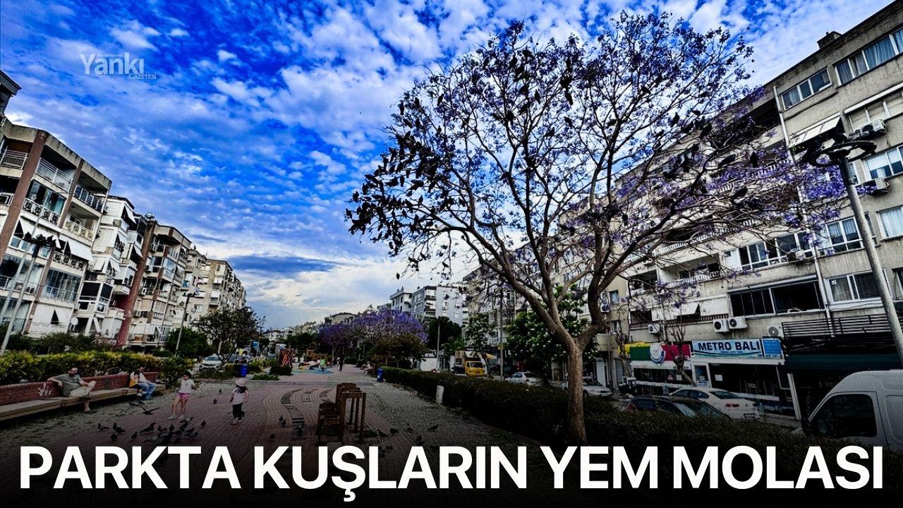 Parkta kuşların yem molası