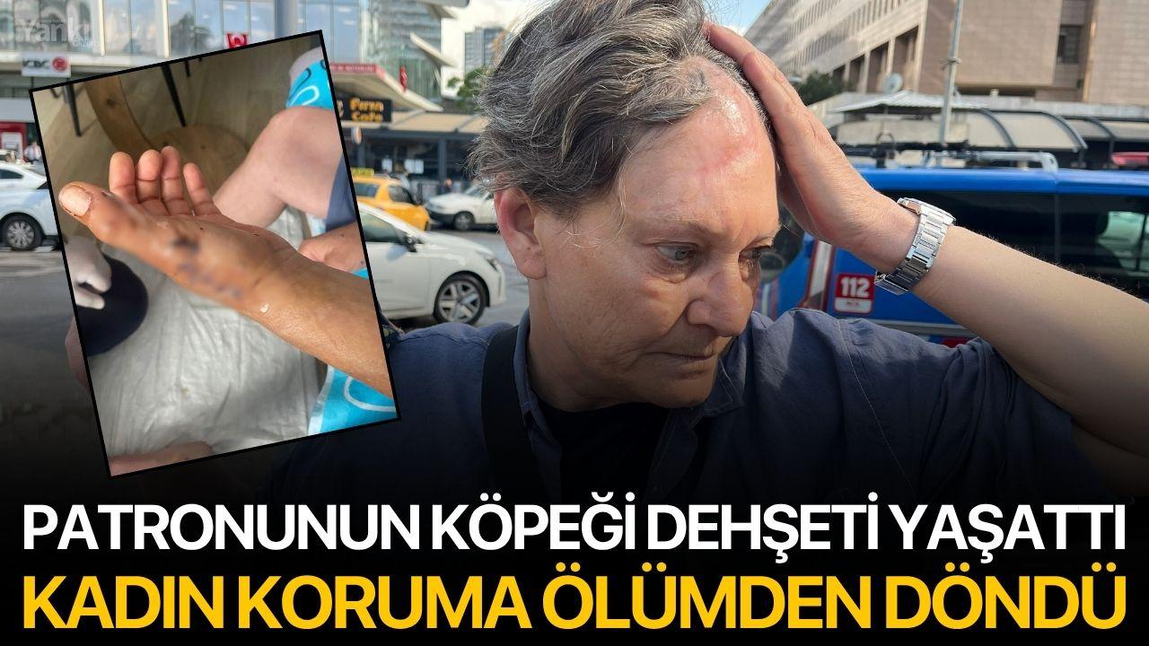 Patronunun köpeği dehşeti yaşattı: Kadın koruma ölümden döndü