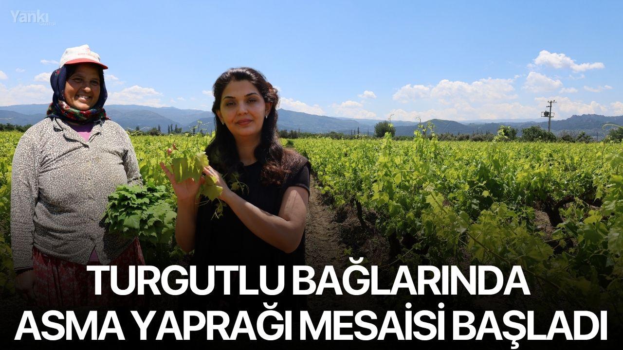Otomatik Taslak