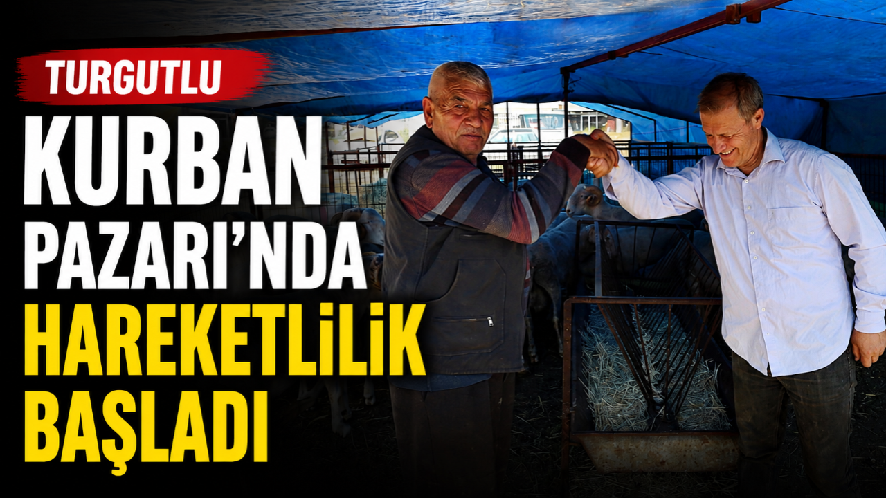 Turgutlu Kurban Pazarı’nda Hareketlilik Başladı