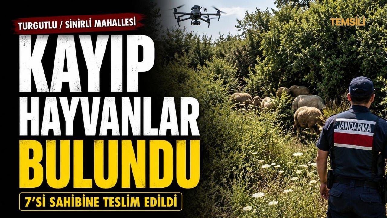 Turgutlu'da 7 kayıp küçükbaş hayvan bulundu