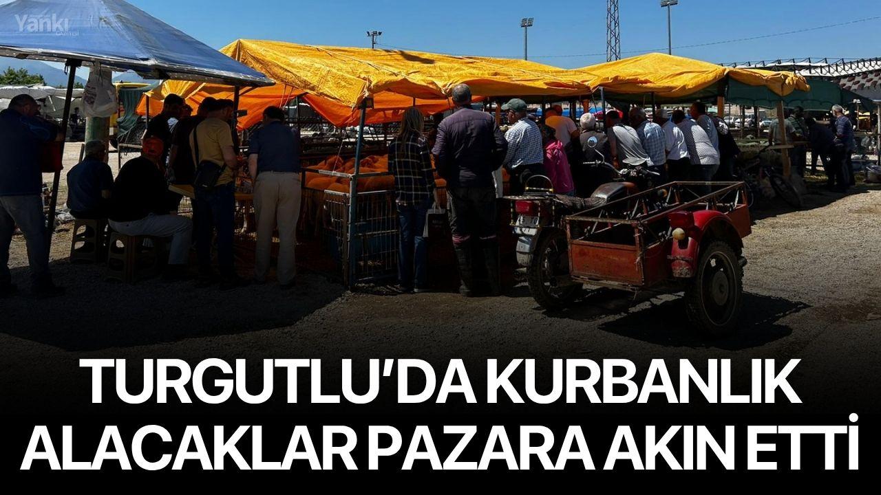 Turgutlu’da kurbanlık alacaklar pazara akın etti