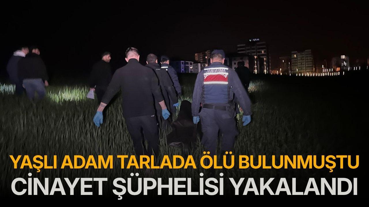Yaşlı adam tarlada ölü bulunmuştu! Cinayet şüphelisi yakalandı