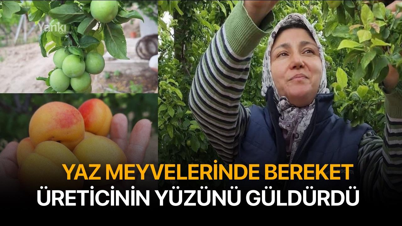 Yaz meyvelerinde bereket üreticinin yüzünü güldürdü