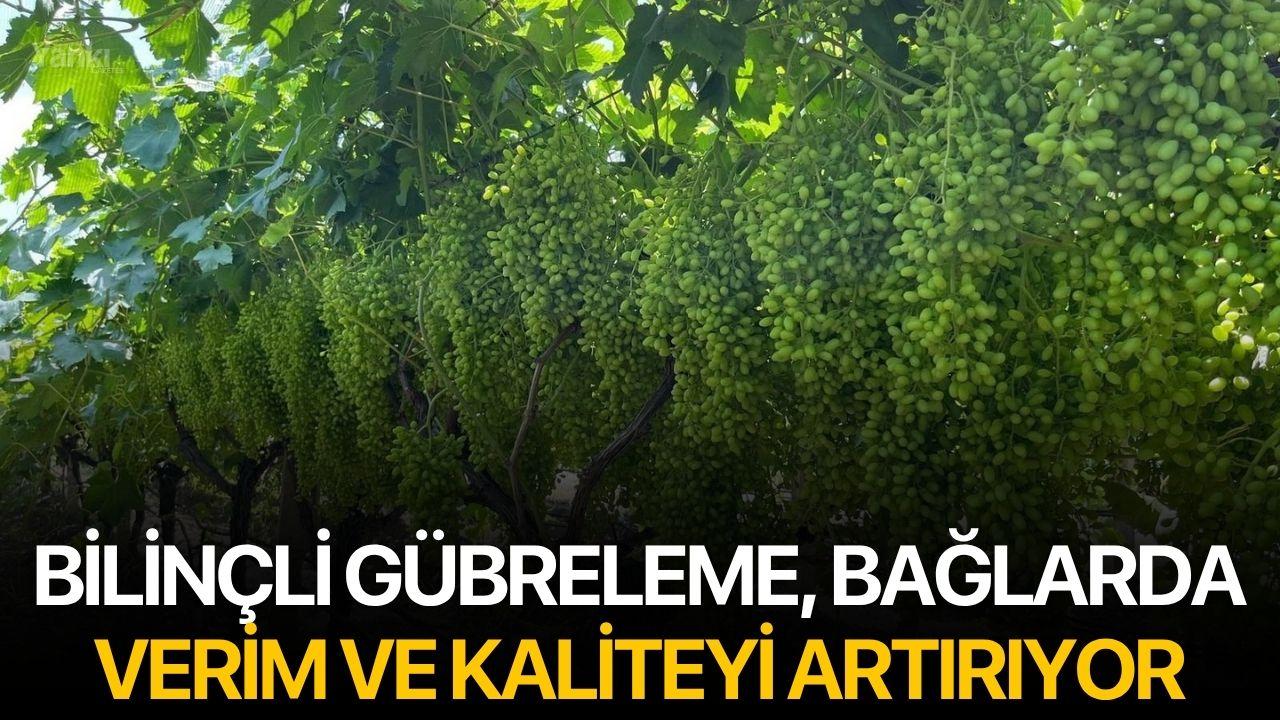 Bilinçli gübreleme, bağlarda verim ve kaliteyi artırıyor