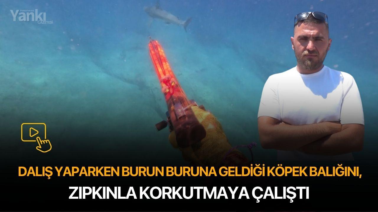 Dalış yaparken burun buruna geldiği köpek balığını, zıpkınla korkutmaya çalıştı