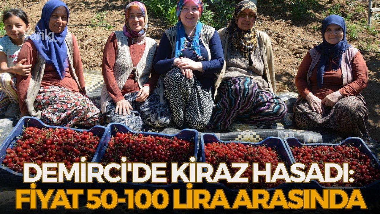 Demirci'de kiraz hasadı: Fiyat 50-100 lira arasında