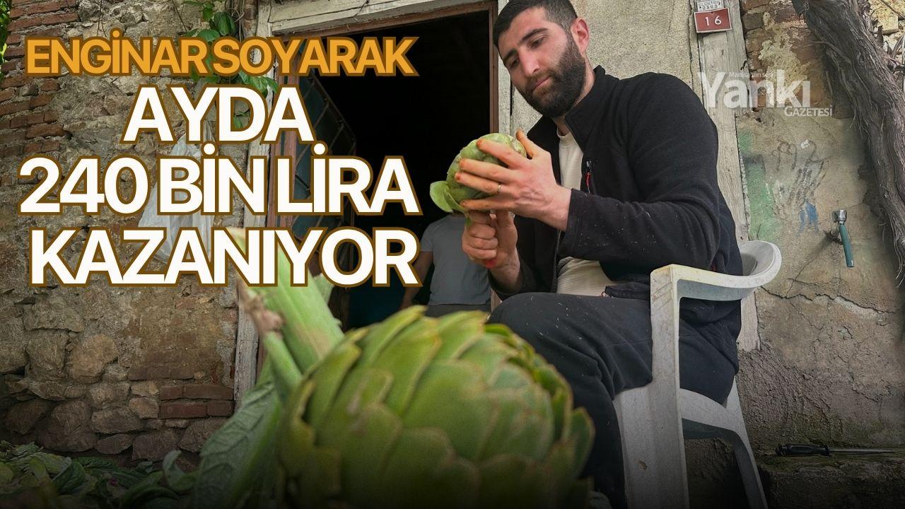 Enginar soyarak ayda 240 bin lira kazanıyor