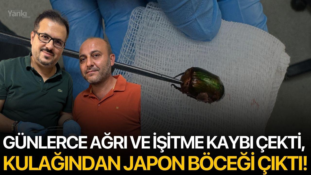 Günlerce ağrı ve işitme kaybı çekti, kulağından japon böceği çıktı!