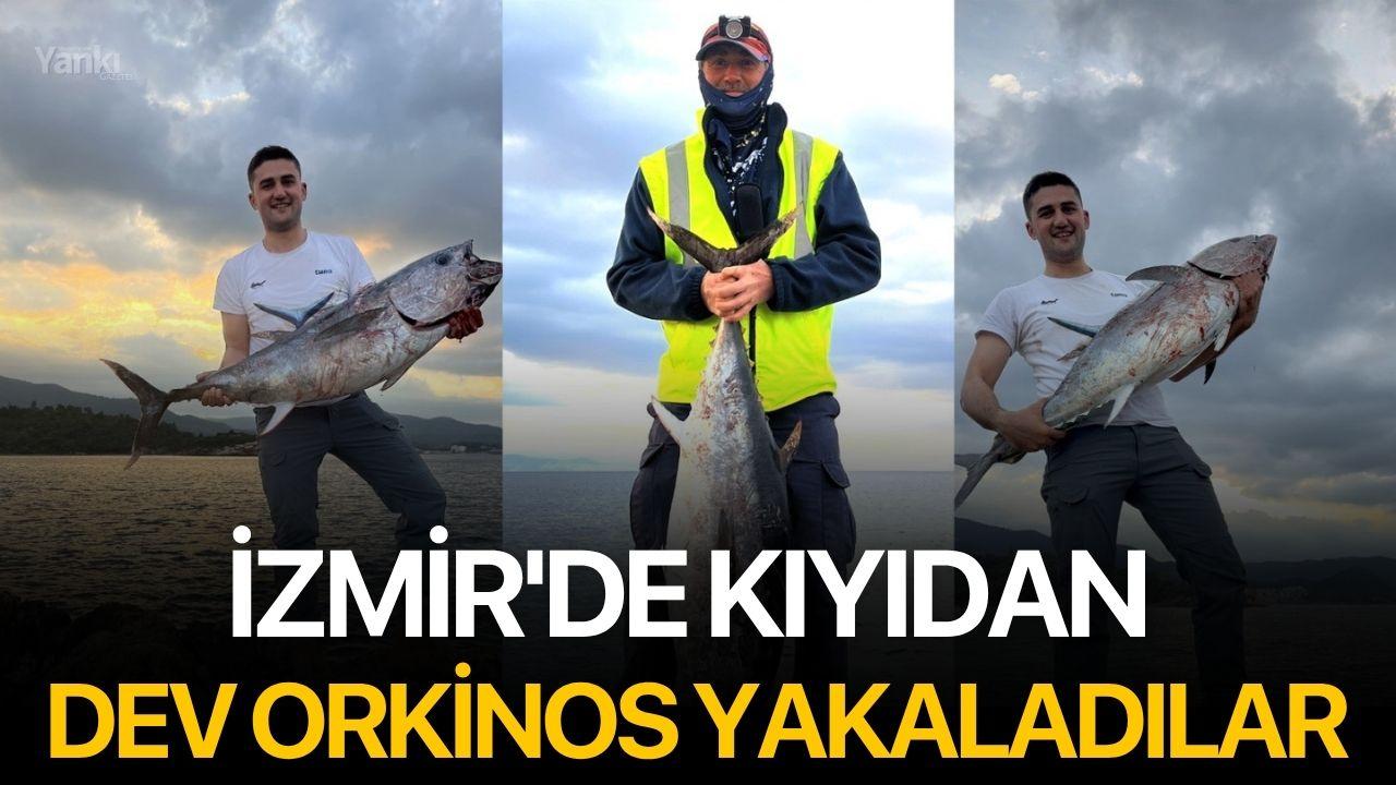 İzmir'de kıyıdan dev orkinos yakaladılar