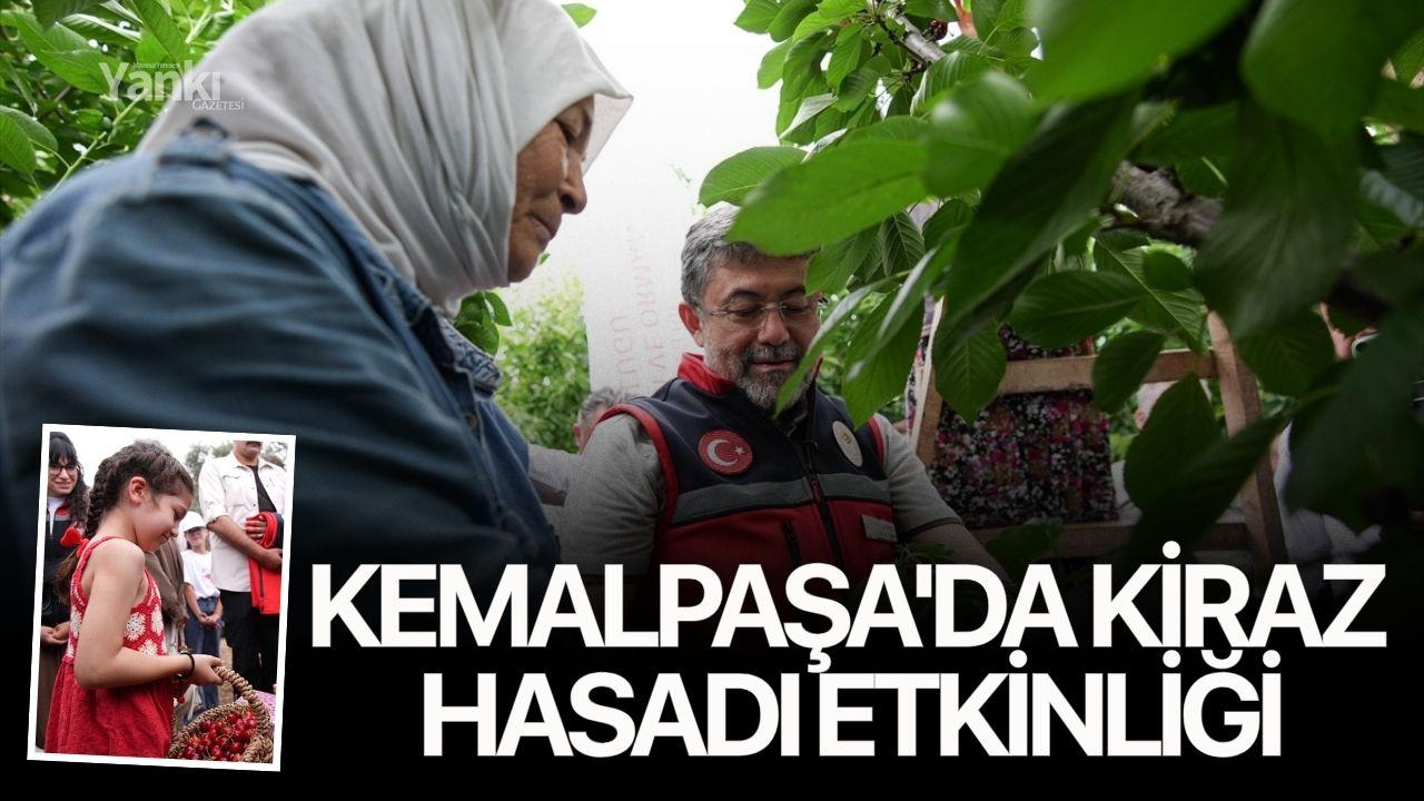 Kemalpaşa'da kiraz hasadı etkinliği