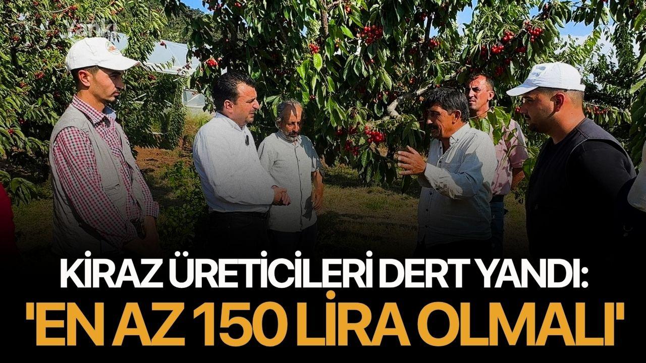 Kiraz üreticileri dert yandı: 'En az 150 lira olmalı'