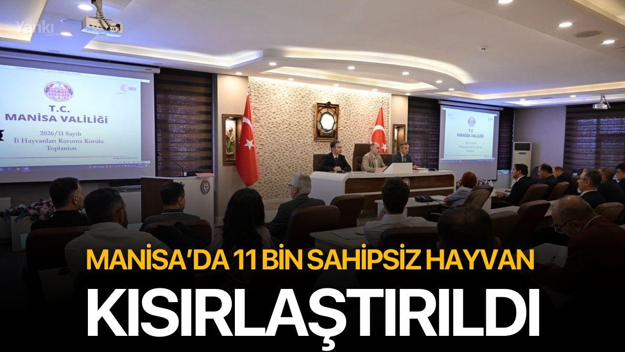 Manisa’da 11 bin sahipsiz hayvan kısırlaştırıldı