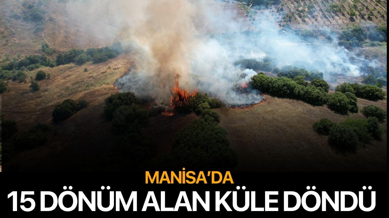 Manisa'da 15 dönüm alan küle döndü