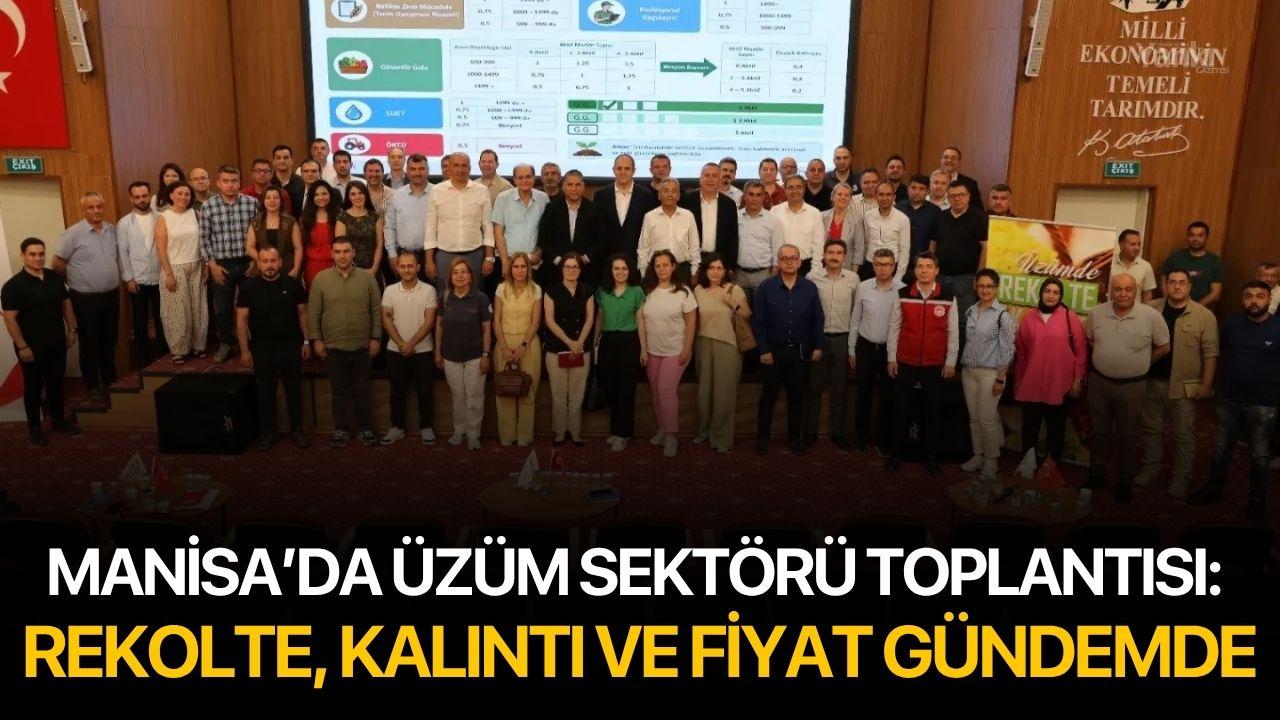 Manisa’da üzüm sektörü toplantısı: Rekolte, kalıntı ve fiyat gündemde