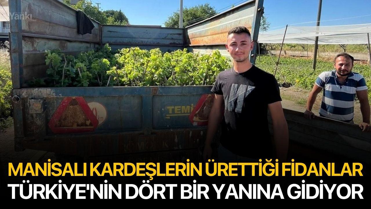 Manisalı kardeşlerin ürettiği fidanlar, Türkiye'nin dört bir yanına gidiyor