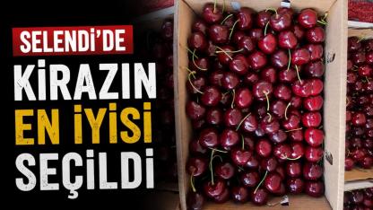Selendi’de kirazın en iyisi seçildi