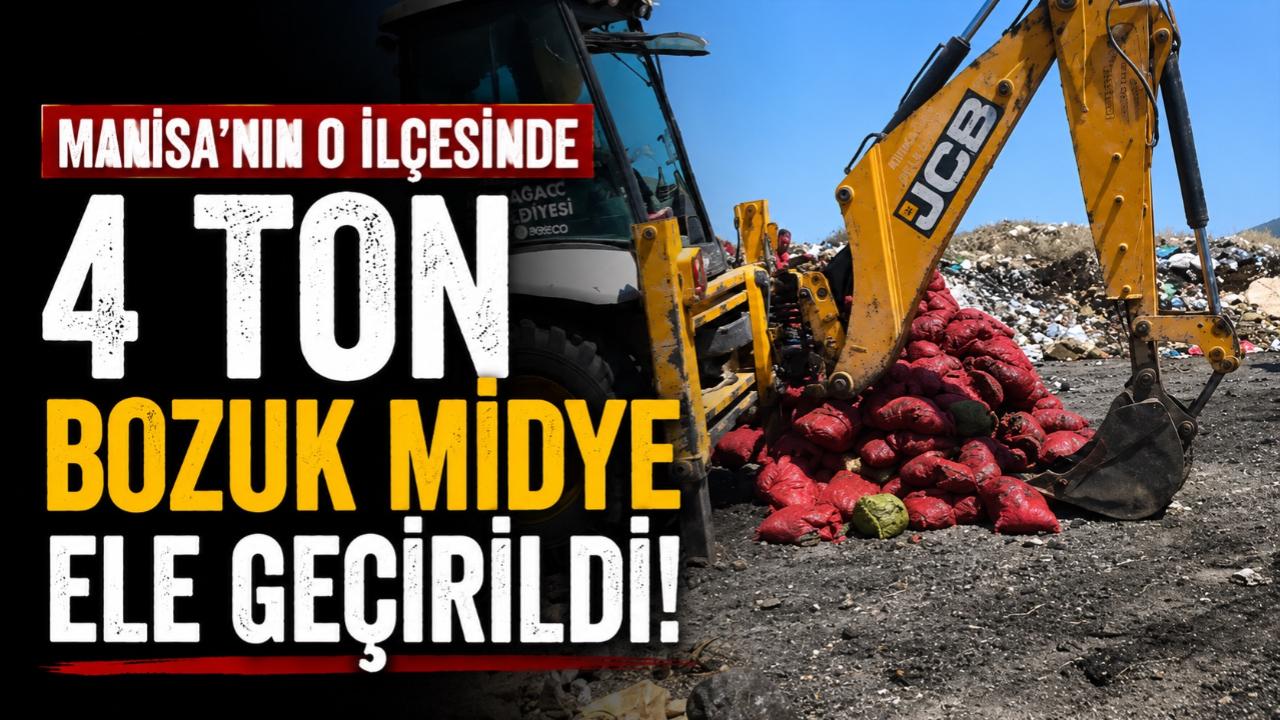 TIR'da ele geçirildi! 4 ton bozuk midye!