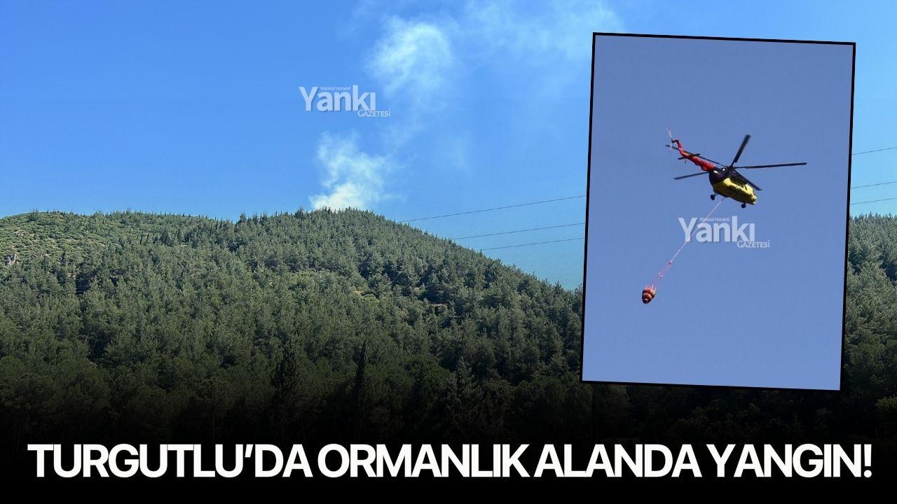 Turgutlu’da ormanlık alanda yangın!