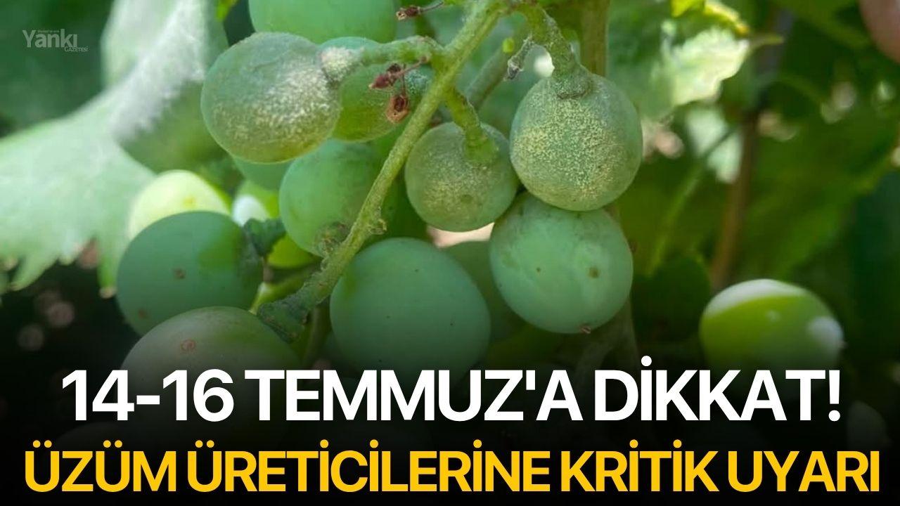 14-16 Temmuz'a Dikkat! Üzüm Üreticilerine Kritik Uyarı
