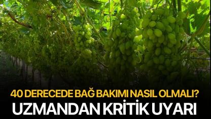 40 Derecede Bağ Bakımı Nasıl Olmalı? Uzmandan Kritik Uyarı