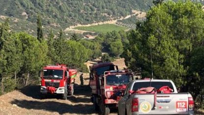 Manisa'daki orman yangını kontrol altına alındı