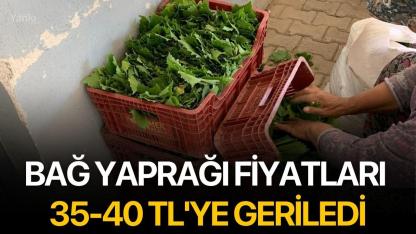 Bağ yaprağı fiyatları 35-40 TL'ye geriledi