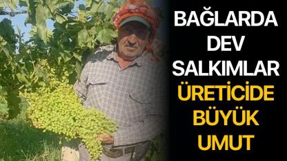 Bağlarda Dev Salkımlar, Üreticide Büyük Umut
