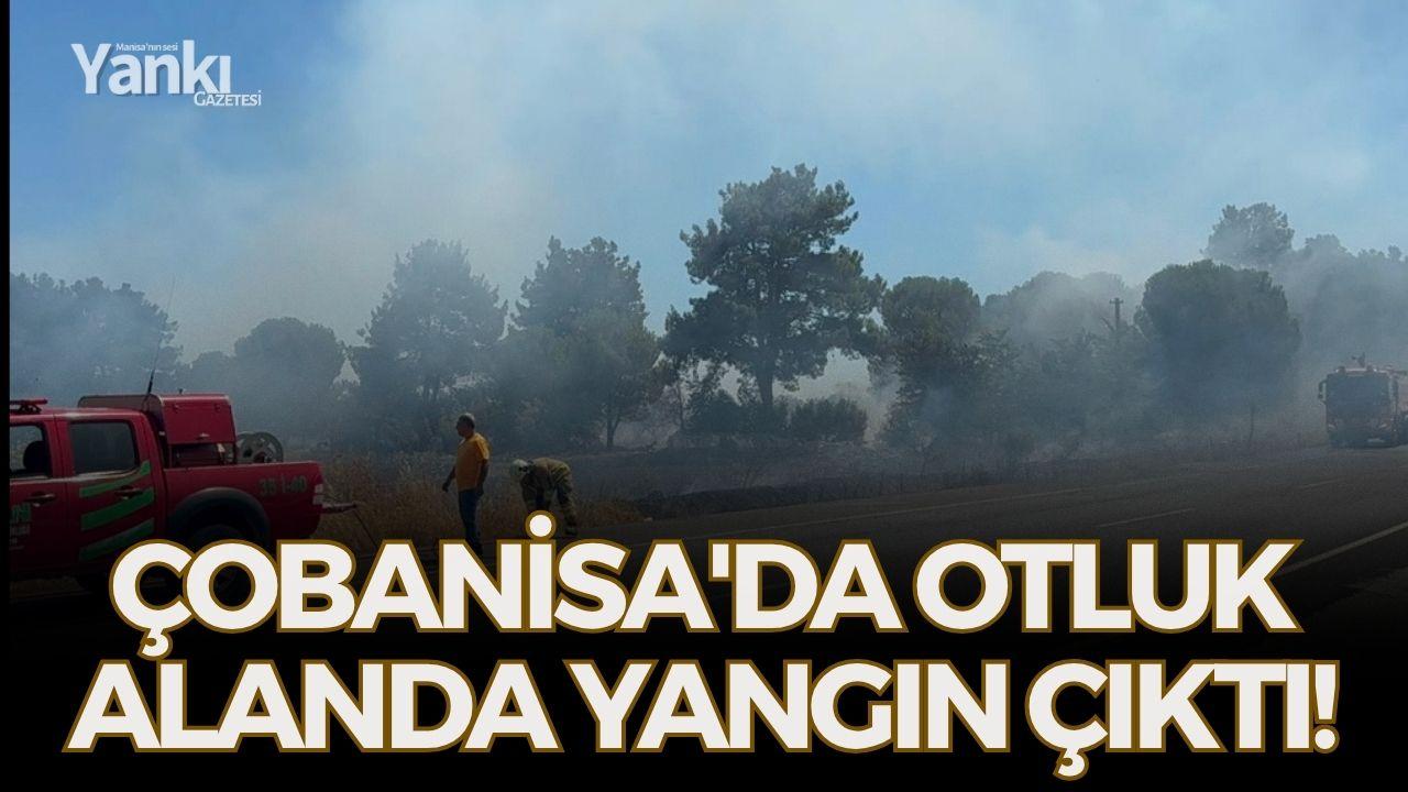 Çobanisa'da otluk alanda yangın çıktı!