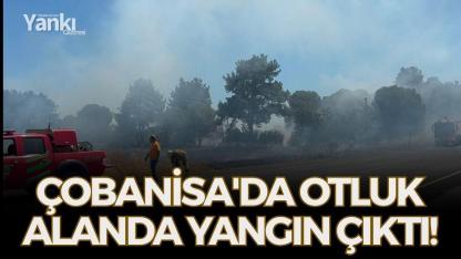 Çobanisa'da otluk alanda yangın çıktı!