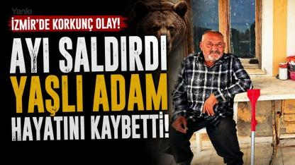 İzmir’de ayı saldırısına uğrayan yaşlı adam hayatını kaybetti