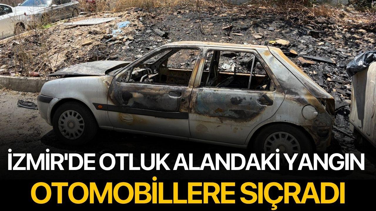 İzmir'de Otluk Alandaki Yangın Otomobillere Sıçradı