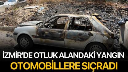 İzmir'de Otluk Alandaki Yangın Otomobillere Sıçradı