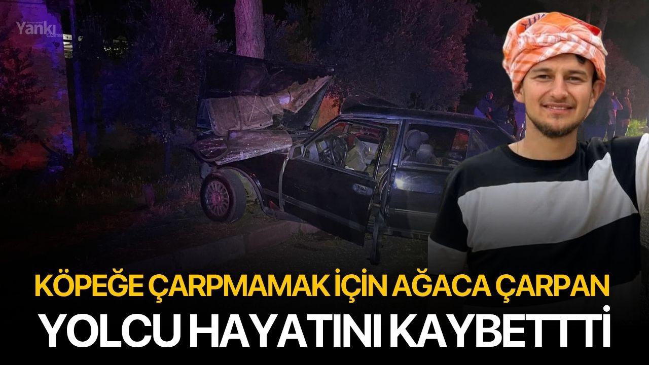 Köpeğe çarpmamak için ağaca çarpan otomobildeki yolcu hayatını kaybettti