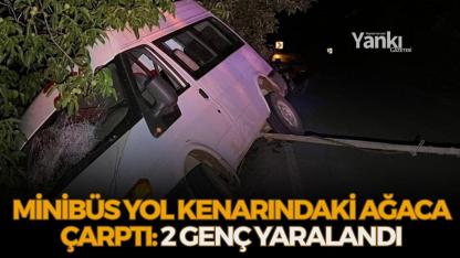 Minibüs yol kenarındaki ağaca çarptı: 2 genç yaralandı