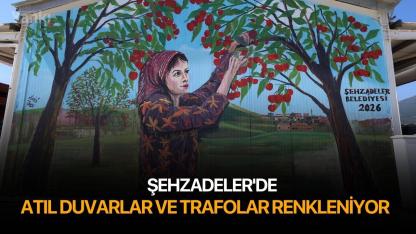 Şehzadeler'de atıl duvarlar ve trafolar renkleniyor