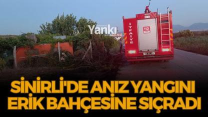 Sinirli'de anız yangını erik bahçesine sıçradı