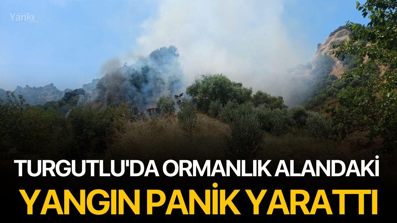 Turgutlu'da Ormanlık Alandaki Yangın Panik Yarattı