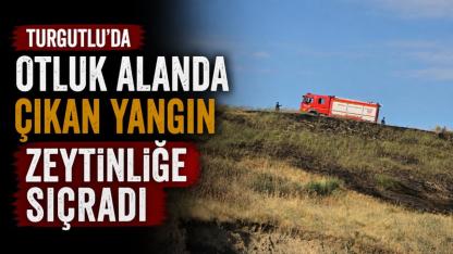 Turgutlu’da otluk alanda çıkan yangın zeytinliğe sıçradı, 1 saatte kontrol altına alındı