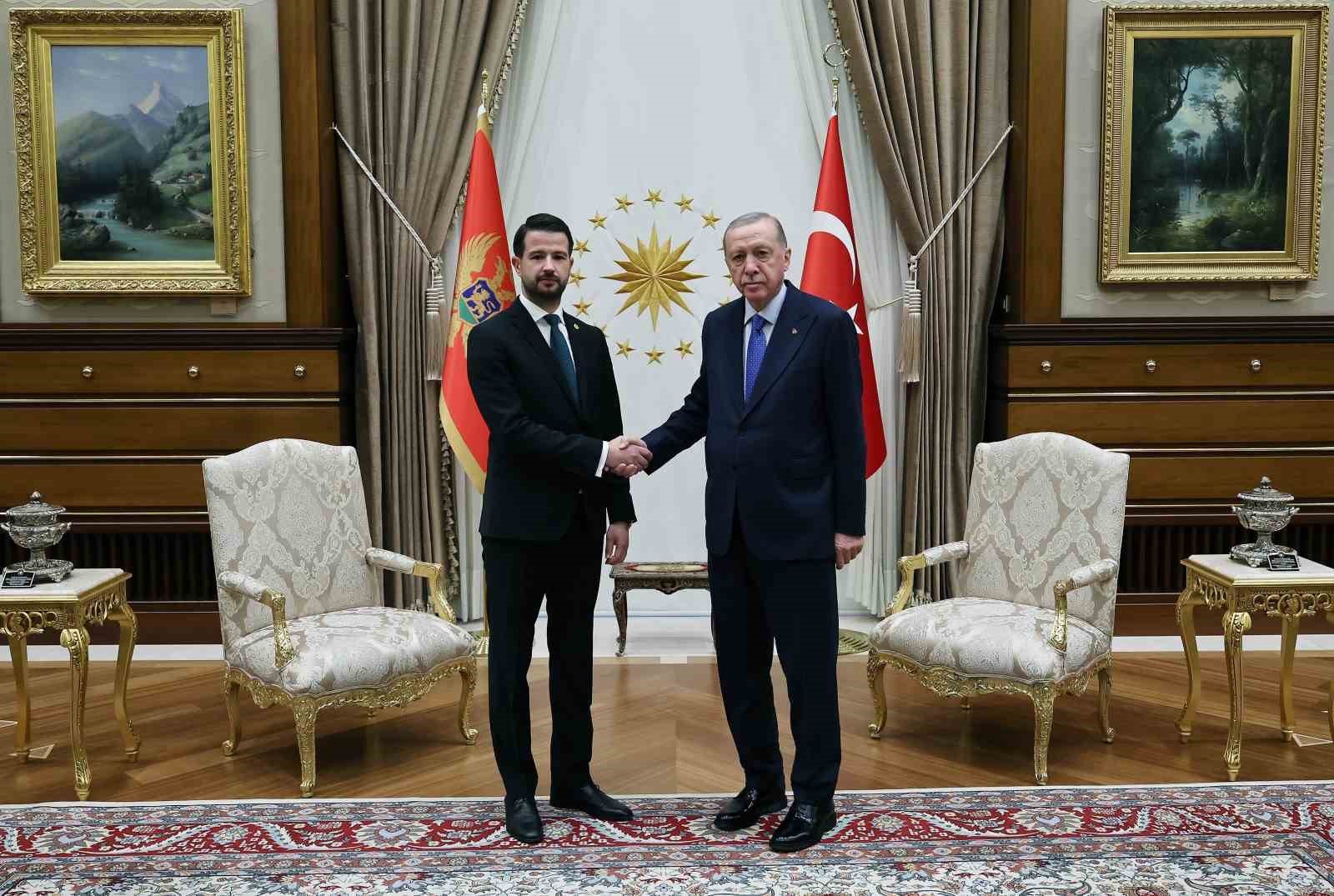 Cumhurbaşkanı Erdoğan, Karadağ Cumhurbaşkanı Milatoviç’i resmi törenle karşıladı