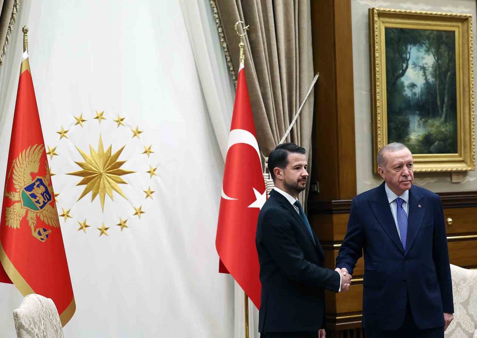 Cumhurbaşkanı Erdoğan, Karadağ Cumhurbaşkanı Milatoviç’i resmi törenle karşıladı