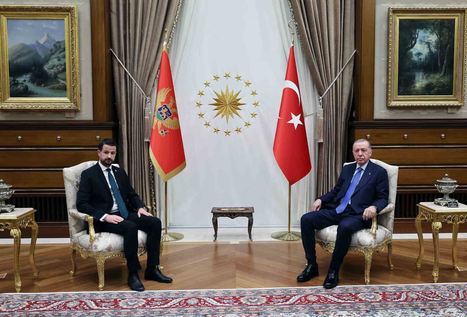 Cumhurbaşkanı Erdoğan, Karadağ Cumhurbaşkanı Milatoviç’i resmi törenle karşıladı
