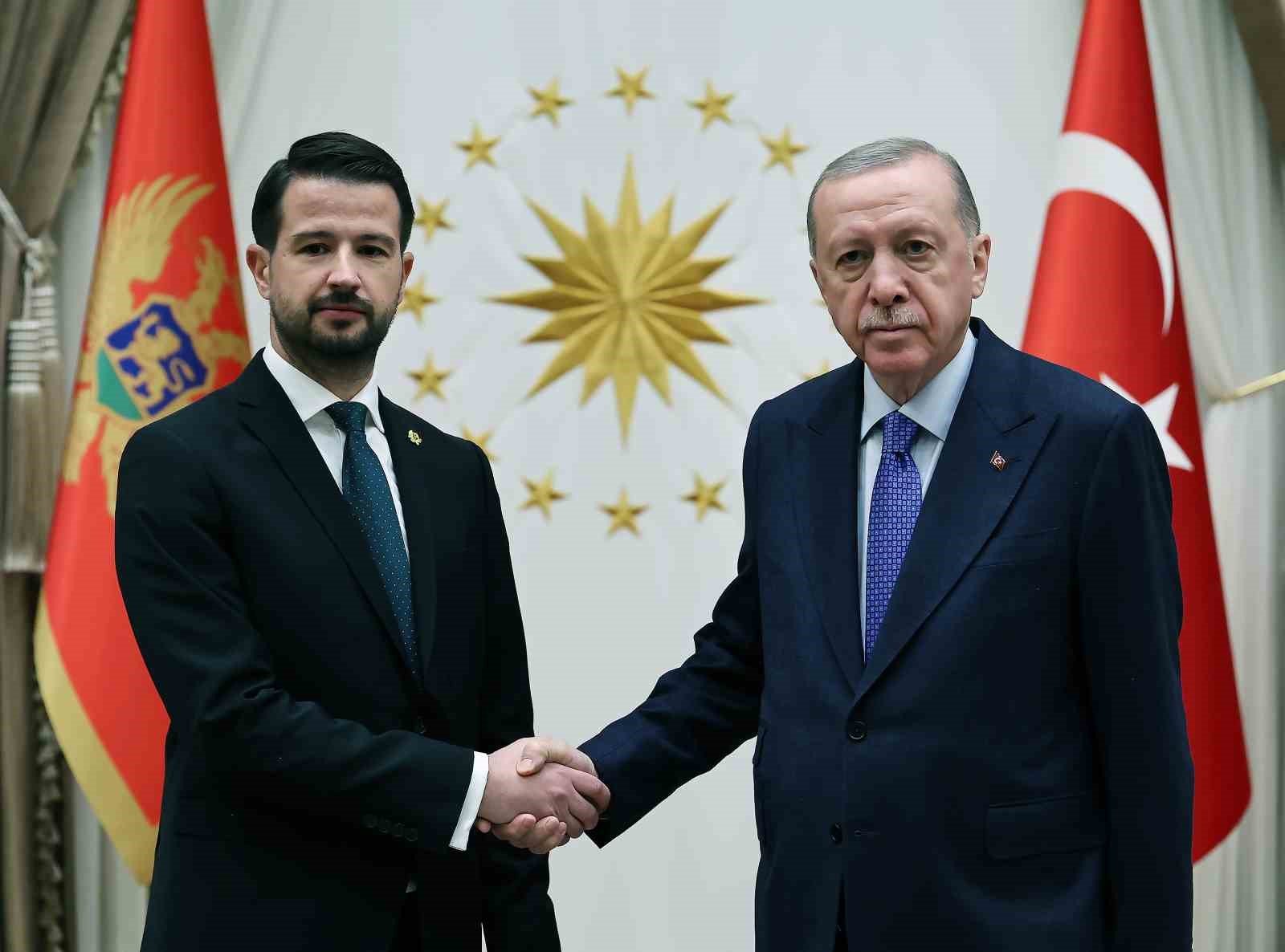 Cumhurbaşkanı Erdoğan, Karadağ Cumhurbaşkanı Milatoviç’i resmi törenle karşıladı